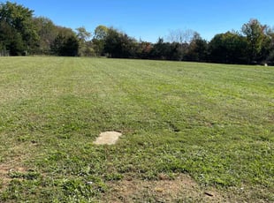 Ed G.'s Lawn Service service result