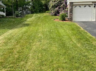 Sarah M.'s Lawn Mowing service result