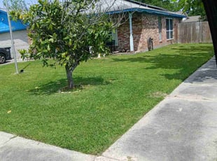 Rakesh G.'s Lawn Mowing Service service result