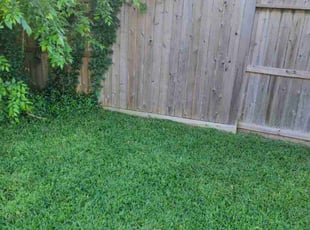 James A.'s Grass Cutting service result