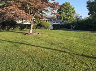 Kimberly S.'s Lawn Care service result