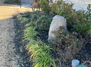 Weeding by Manuel Gonzalez for Caryn T. in Mansfield, TX