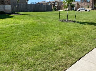 Kira H.'s Lawn Care service result