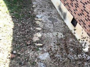 Cleanups by Chad Carter for Dina F. in Louisville, KY