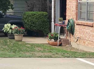 Tony J.'s Bush Trimming service result