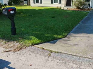 Curtis L.'s Lawn Service service result