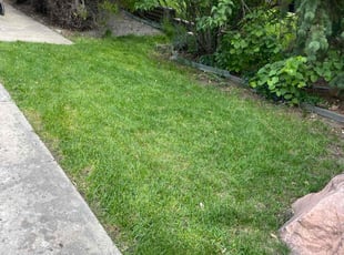 Charles S.'s Lawn Mowing service result