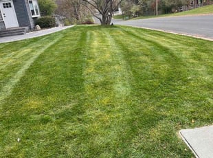 Leaf Removal by Santos Blanco for Elizabeth B. in Minneapolis, MN