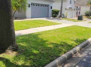 Clarice T.'s Lawn Mowing service result