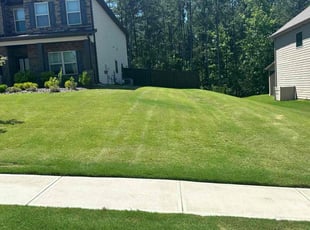Ginny E.'s Lawn Mowing service result