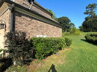 Tina F.'s Bush Trimming service result