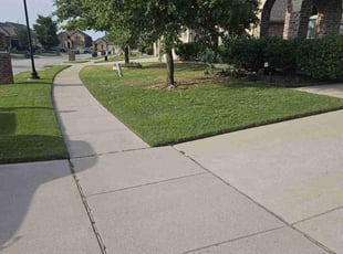 Brandy G.'s Lawn Mowing service result