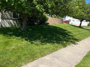 Michele S.'s Lawn Mowing service result