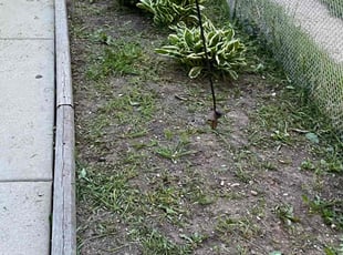 Weeding by Adam Schroeder for Sheryl C. in West Allis, WI