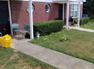 Stephanie S.'s Bush Trimming service result