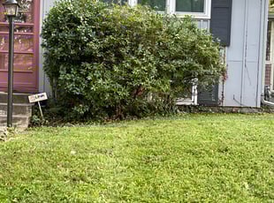 Bush Trimming by Bryan Fletcher for Sarah F. in Kansas City, MO