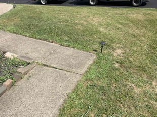 Kathi T.'s Lawn Care service result