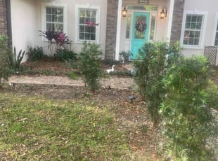 Bush Trimming by Alphonso Sharp for Brian M. in Brandon, FL