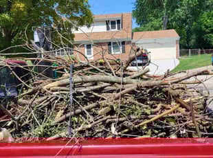 Cleanups by Andrew Garfield for Katy J. in East Lansing, MI