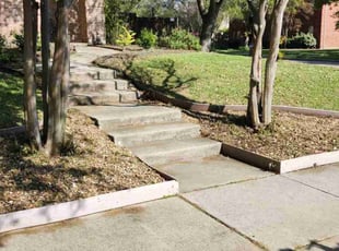 Weeding by Ricardo Soto for Christina C. in Allen, TX