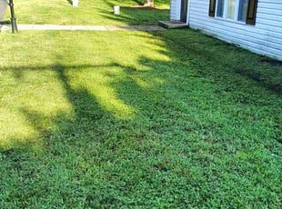 Betty J.'s Lawn Care service result