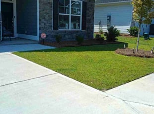 Patrick M.'s Lawn Care service result