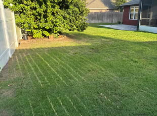 Mandeville S.'s Lawn Mowing service result
