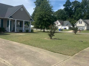 Kristin C.'s Lawn Service service result