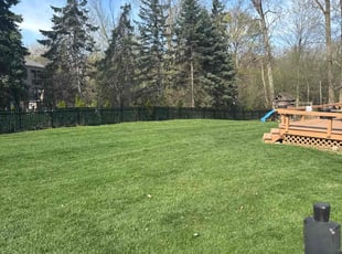 Jamieson C.'s Lawn Maintenance service result