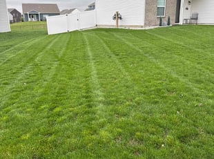 Normie T.'s Lawn Service service result