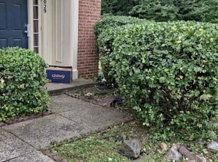 Bush Trimming by Manny Chavez for Takina M. in Woodbridge, VA