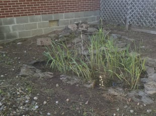 Weeding by Patrick SMITH for Ryan M. in Cincinnati, OH
