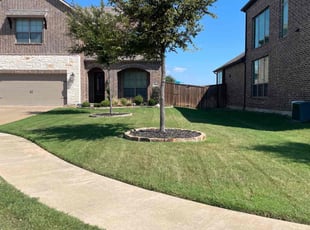 Eric C.'s Lawn Service service result
