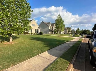 Scott P.'s Lawn Mowing service result