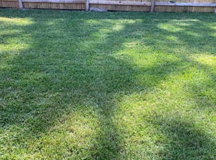 Charlie K.'s Lawn Care service result
