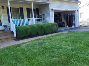 Sara D.'s Lawn Mowing service result