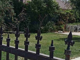 Bush Trimming by Brenden Henderson for Sherree B. in Riverside, CA