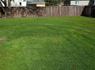 Jonnah C.'s Lawn Care service result