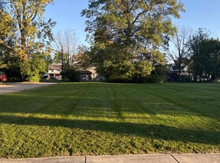 Laurie S.'s Yard Cutting service result