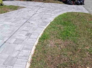 Leaf Removal by Joseph Guemmer for Caroline B. in Tampa, FL