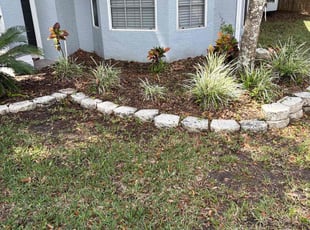 Leaf Removal by Luis Longa for Robin H. in Oviedo, FL