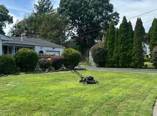 Stephen A.'s Lawn Care service result