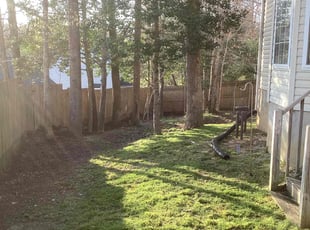 Leaf Removal by Bryan Tyler for Geoff G. in Toano, VA
