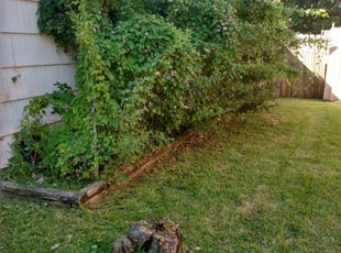 Cleanups by Sergio Pineda for James L. in La Porte, TX