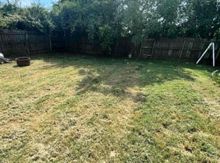 Cleanups by Joanna Buxkemper for Ken S. in Lenoir City, TN