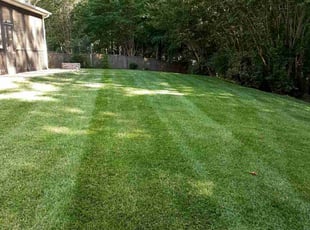 poola n.'s Lawn Mowing service result