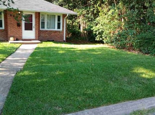 Thenita T.'s Lawn Mowing service result