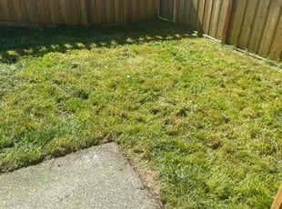 Rosslyn W.'s Lawn Mowing service result