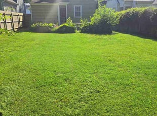Christopher D.'s Lawn Service service result