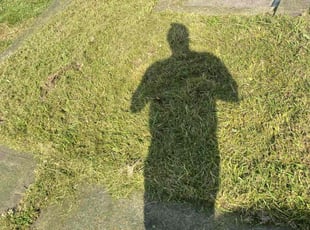 Harry H.'s Lawn Service service result